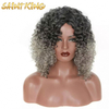MLSH01 Wholesale on Time Delivery 14 Inches Natural Black Kinky Curly Wigs Synthetic Lace Front for Black Women